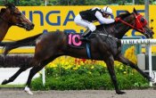 Speed Demon (Oscar Chavez) scores a first-up win on Sunday.<br>Photo by Singapore Turf Club